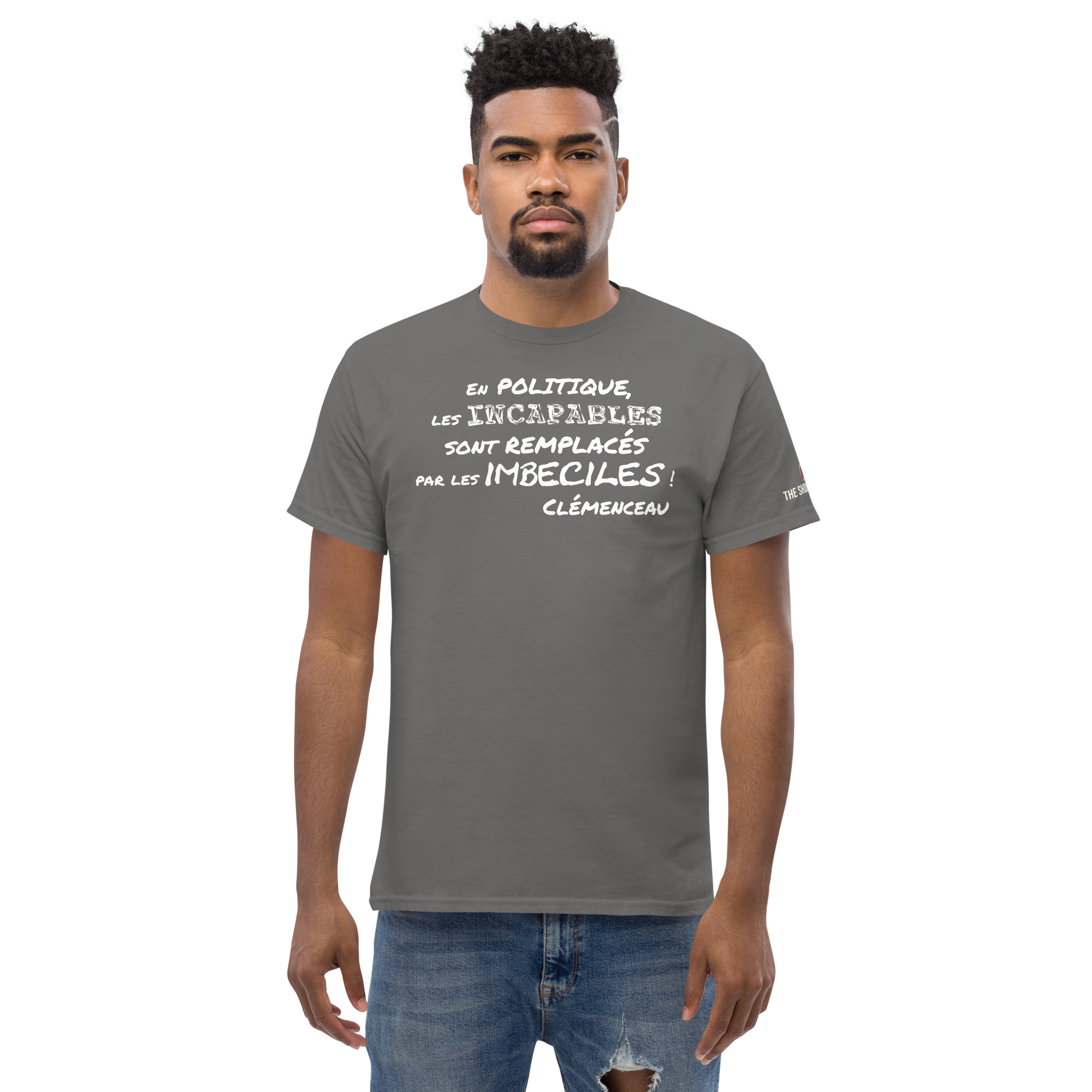 Politiques incapables et imbéciles – Image 4