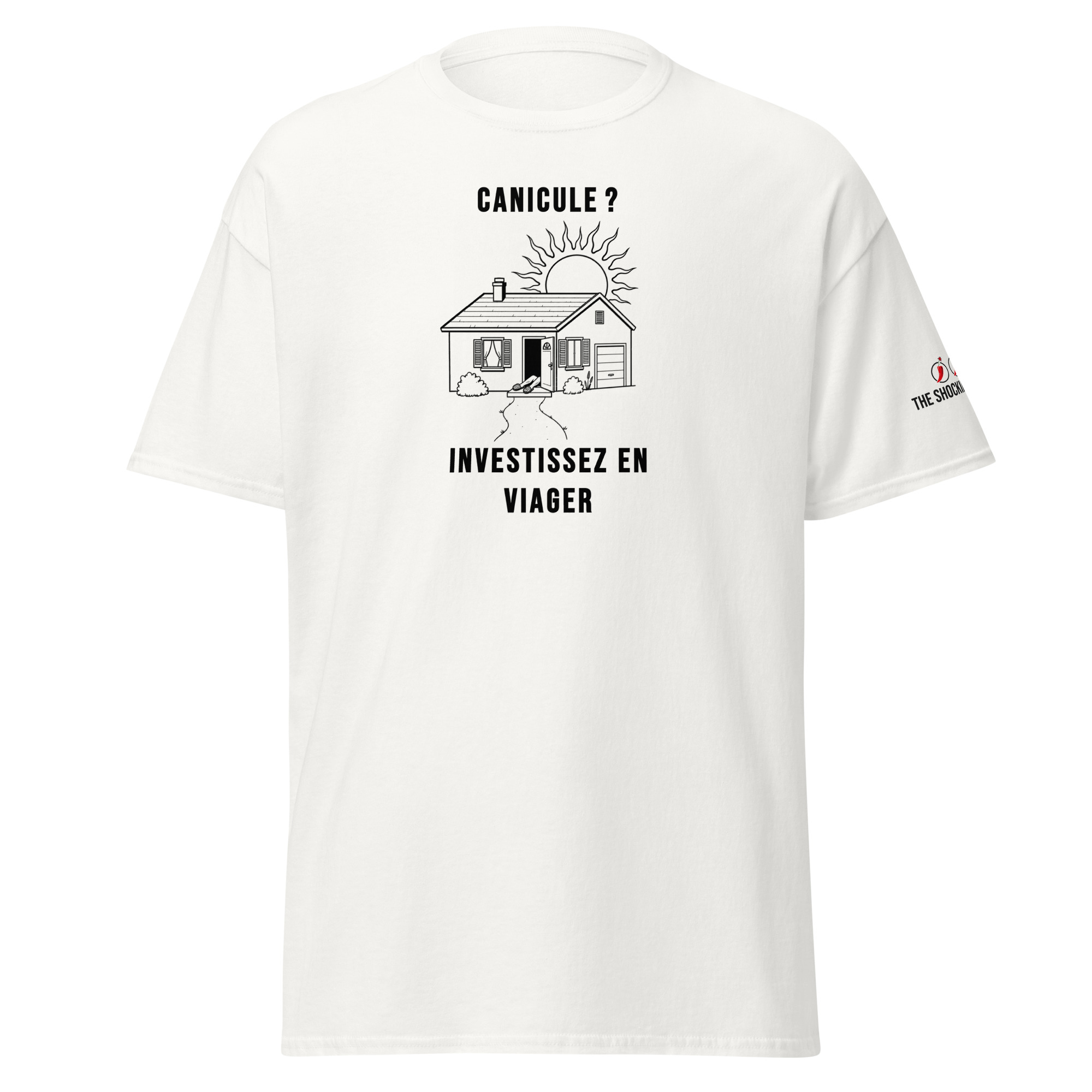 Canicule ? Investissez en viager🌶️🌶️🌶️ – Image 7